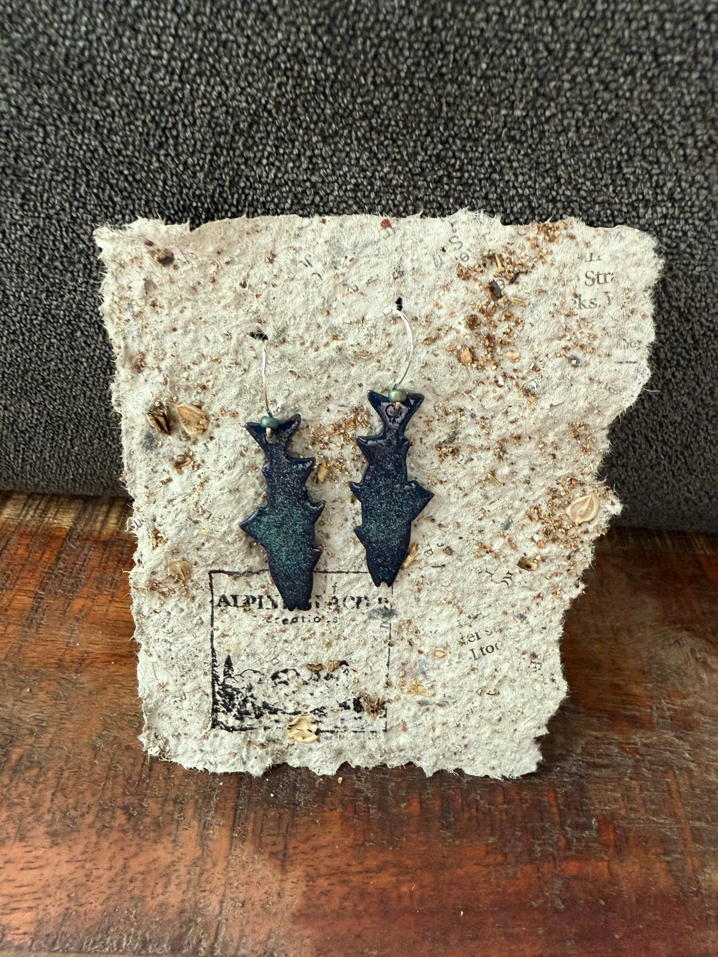 Northern light salmon